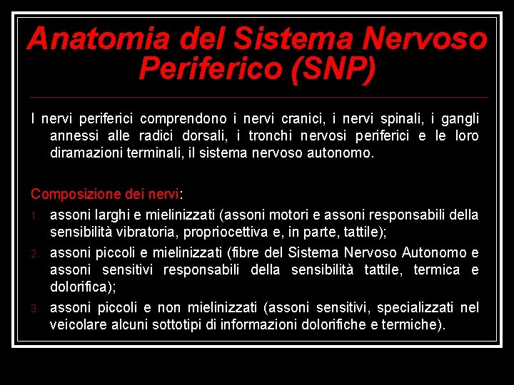 Anatomia del Sistema Nervoso Periferico (SNP) I nervi periferici comprendono i nervi cranici, i