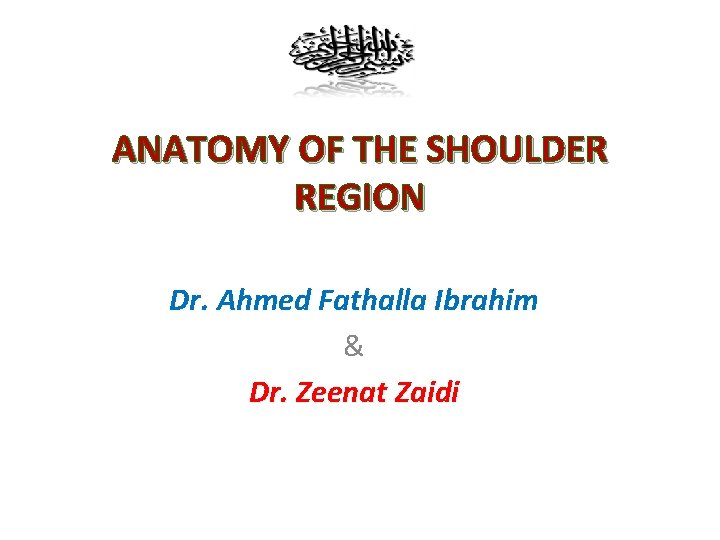 ANATOMY OF THE SHOULDER REGION Dr. Ahmed Fathalla Ibrahim & Dr. Zeenat Zaidi 