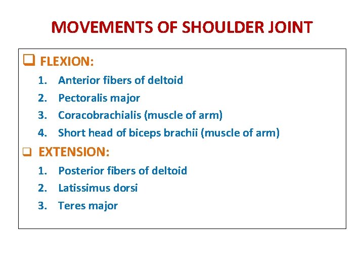 MOVEMENTS OF SHOULDER JOINT q FLEXION: 1. 2. 3. 4. Anterior fibers of deltoid