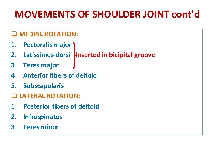 MOVEMENTS OF SHOULDER JOINT cont’d q MEDIAL ROTATION: 1. Pectoralis major 2. Latissimus dorsi