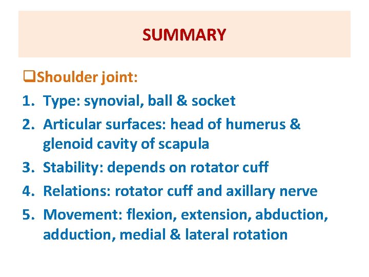 SUMMARY q. Shoulder joint: 1. Type: synovial, ball & socket 2. Articular surfaces: head