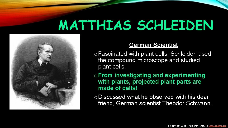 MATTHIAS SCHLEIDEN German Scientist o Fascinated with plant cells, Schleiden used the compound microscope