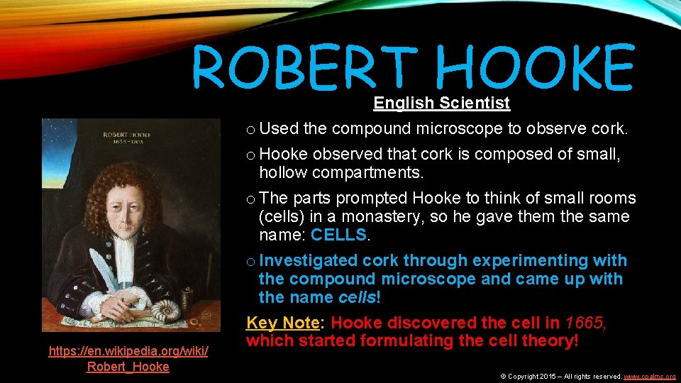 ROBERT HOOKE https: //en. wikipedia. org/wiki/ Robert_Hooke English Scientist o Used the compound microscope