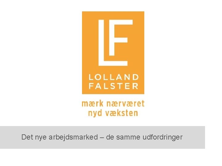 Det nye arbejdsmarked – de samme udfordringer 