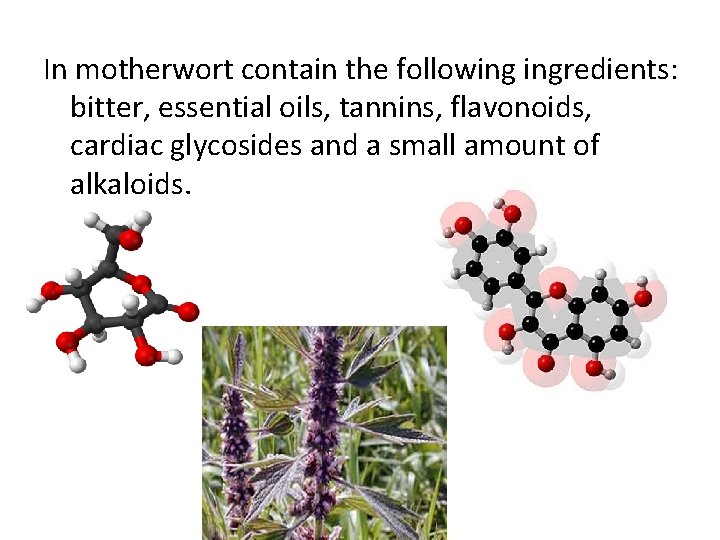 In motherwort contain the following ingredients: bitter, essential oils, tannins, flavonoids, cardiac glycosides and
