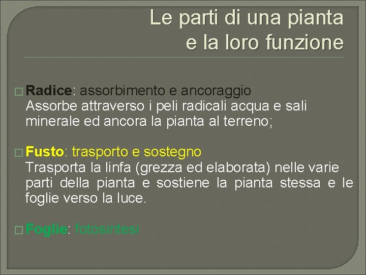 Le parti di una pianta e la loro funzione � Radice: assorbimento e ancoraggio