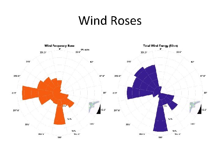 Wind Roses 