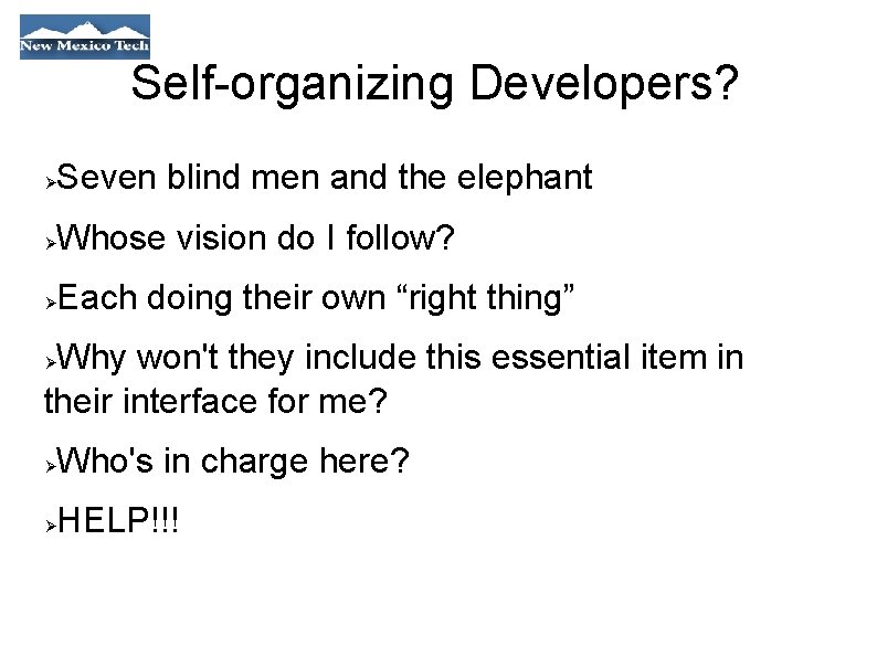 Self-organizing Developers? Seven blind men and the elephant Whose vision do I follow? Each