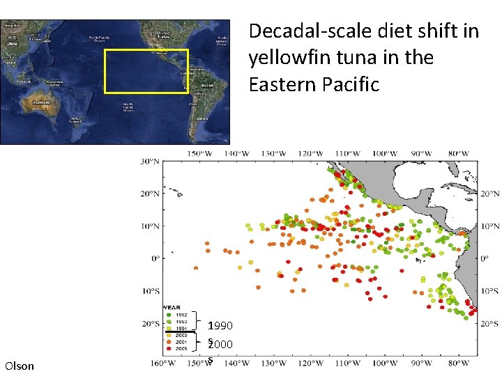 Decadal-scale diet shift in yellowfin tuna in the Eastern Pacific Set Locations 1990 s