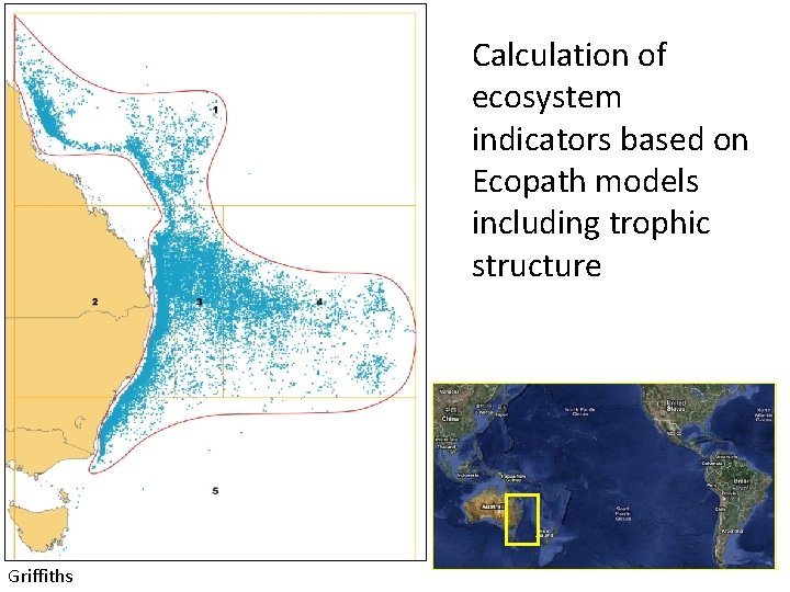 Calculation of ecosystem indicators based on Ecopath models including trophic structure Griffiths 