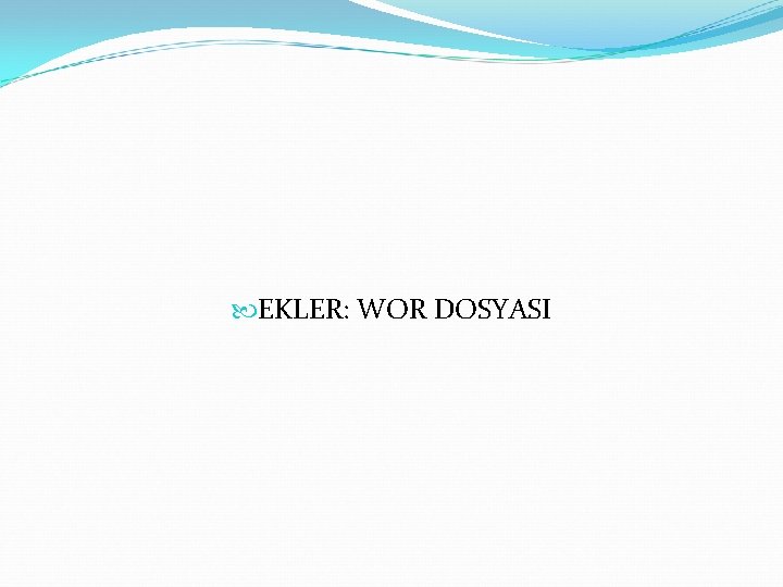  EKLER: WOR DOSYASI 