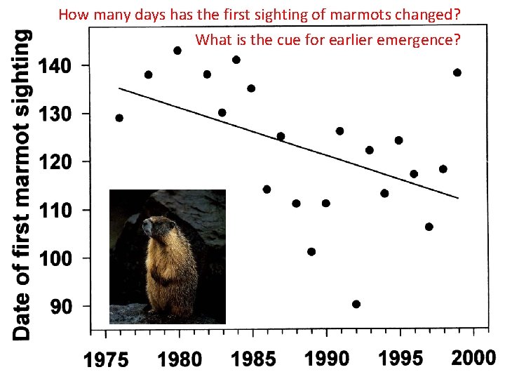 How many days has the first sighting of marmots changed? What is the cue