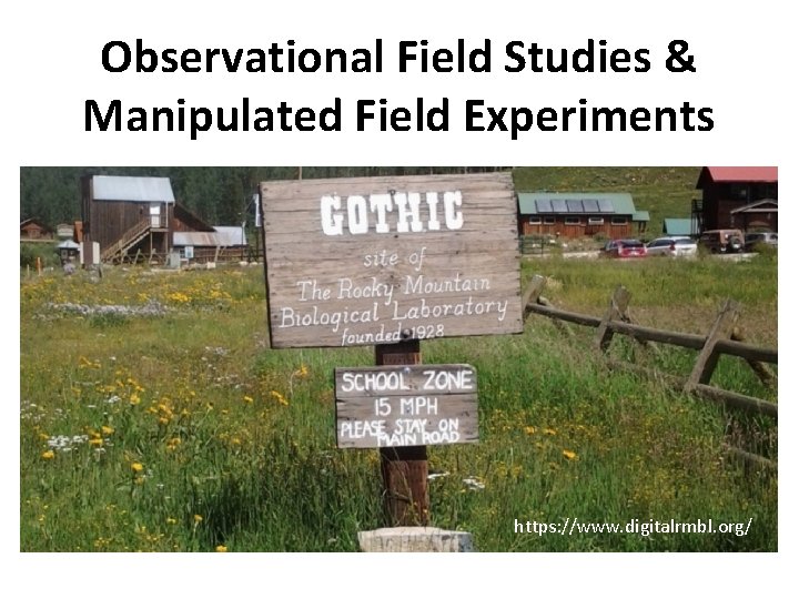 Observational Field Studies & Manipulated Field Experiments https: //www. digitalrmbl. org/ 