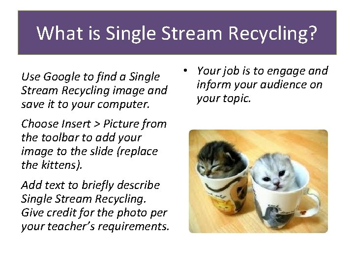 What is Single Stream Recycling? Use Google to find a Single Stream Recycling image