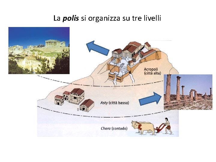 La polis si organizza su tre livelli 