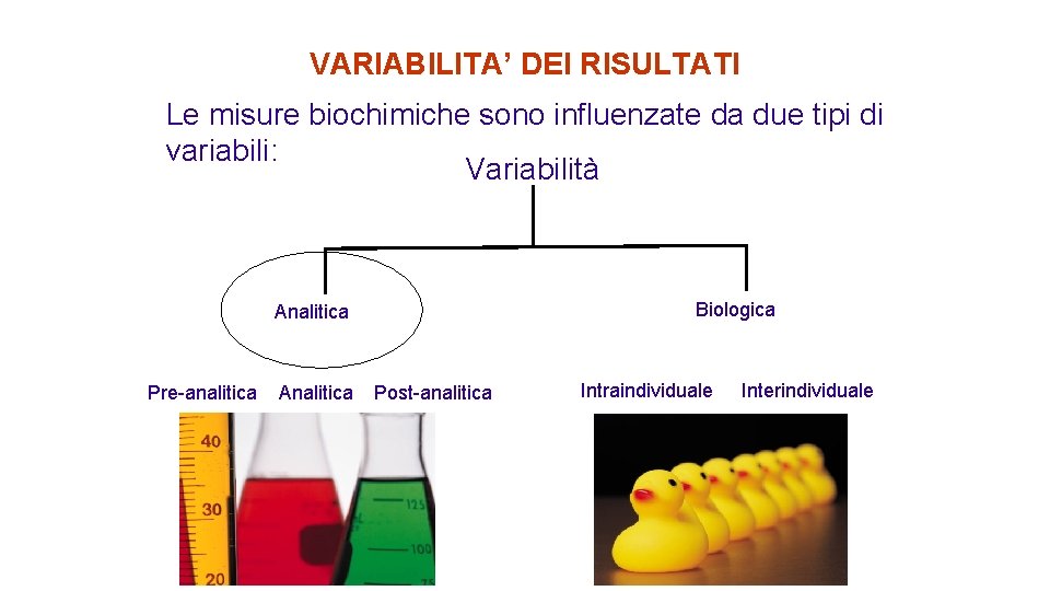 VARIABILITA’ DEI RISULTATI Le misure biochimiche sono influenzate da due tipi di variabili: Variabilità
