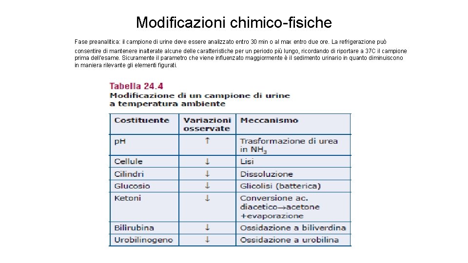 Modificazioni chimico-fisiche Fase preanalitica: il campione di urine deve essere analizzato entro 30 min