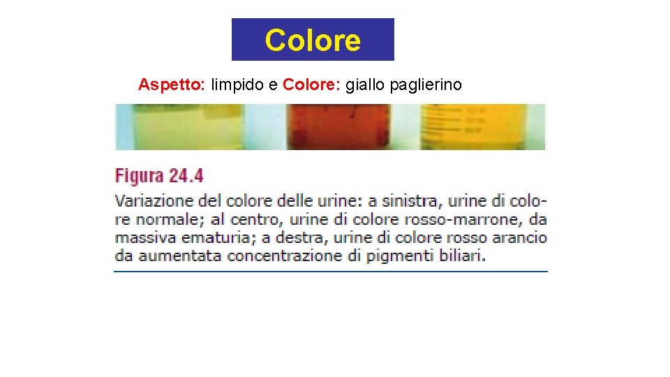 Colore Aspetto: limpido e Colore: giallo paglierino 