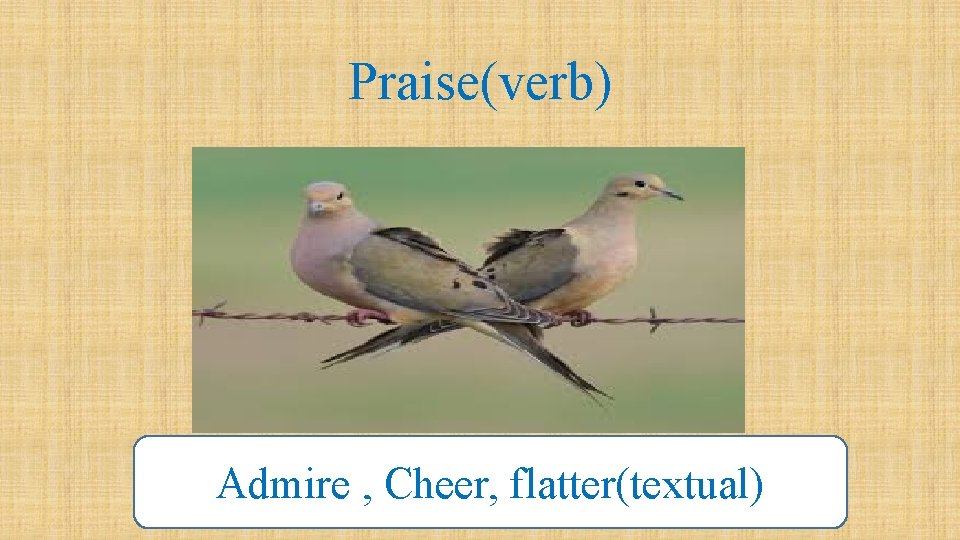 Praise(verb) Admire , Cheer, flatter(textual) 