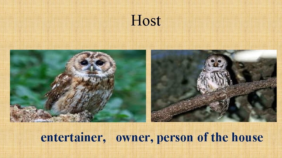 Host entertainer, owner, person of the house 