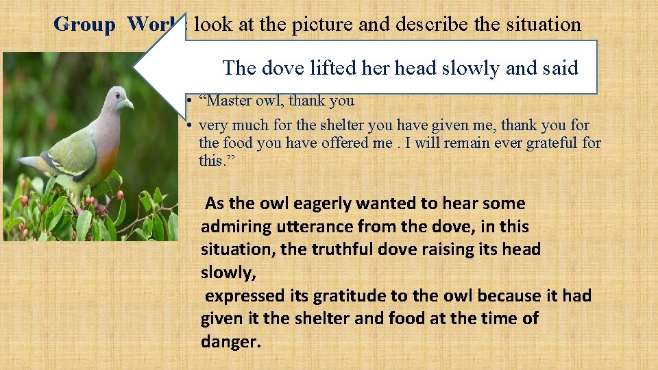 Group Work: look at the picture and describe the situation TTttt. The dove lifted