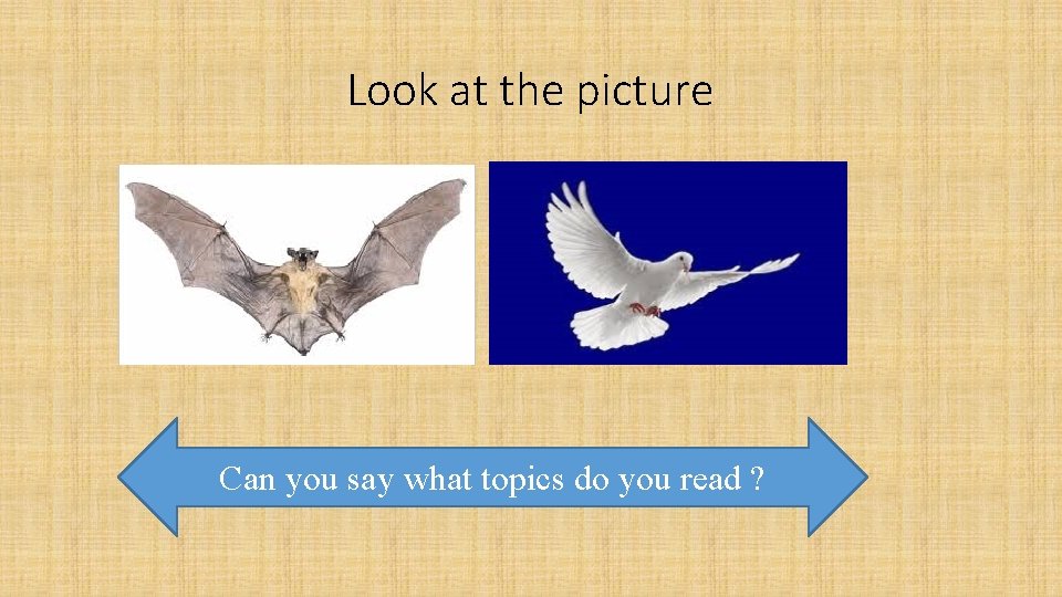 Look at the picture Can you say what topics do you read ? 