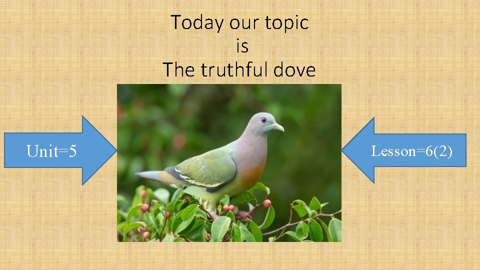 Today our topic is The truthful dove Unit=5 Lesson=6(2) 