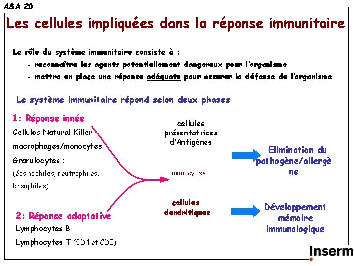 15 ASA 20 Les cellules impliquées dans la réponse immunitaire Le rôle du système