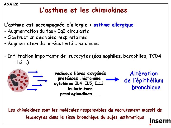 ASA 22 L’asthme et les chimiokines L’asthme est accompagnée d’allergie : asthme allergique -