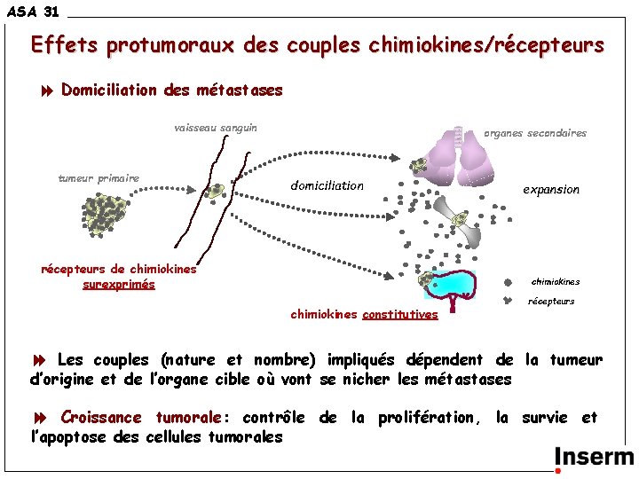 ASA 31 Effets protumoraux des couples chimiokines/récepteurs Domiciliation des métastases vaisseau sanguin tumeur primaire