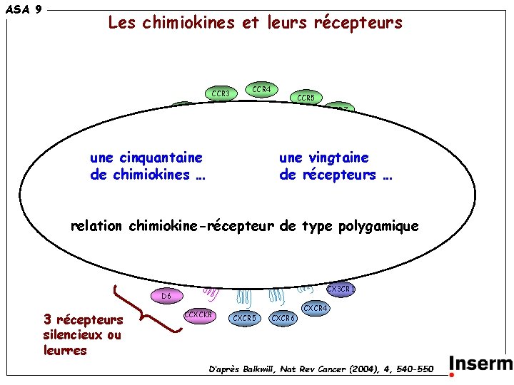 ASA 9 Les chimiokines et leurs récepteurs CCR 3 CCR 4 CCR 5 CCR