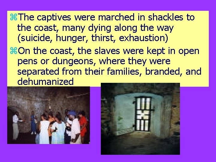 z. The captives were marched in shackles to the coast, many dying along the