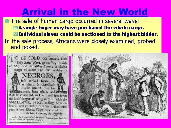 Arrival in the New World z The sale of human cargo occurred in several