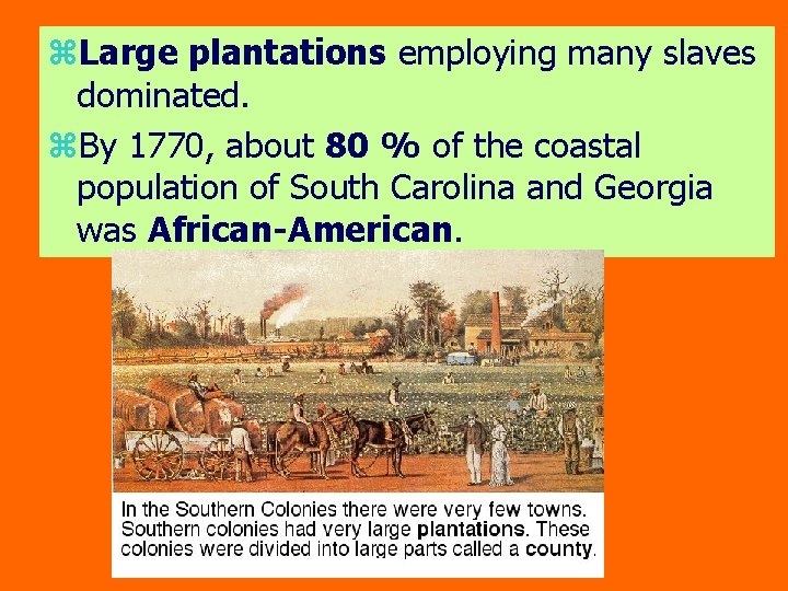 z. Large plantations employing many slaves dominated. z. By 1770, about 80 % of