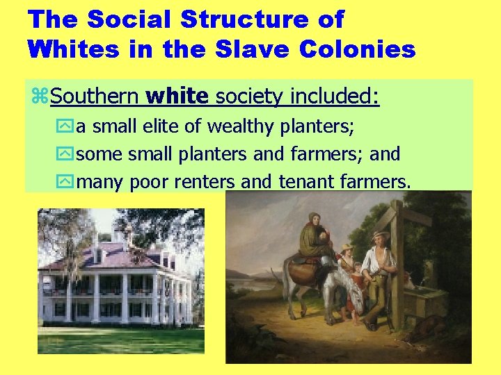 The Social Structure of Whites in the Slave Colonies z. Southern white society included: