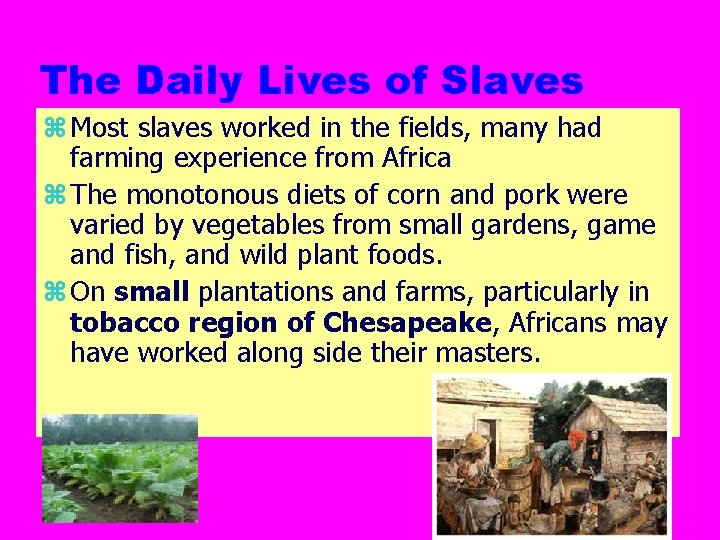 The Daily Lives of Slaves z Most slaves worked in the fields, many had