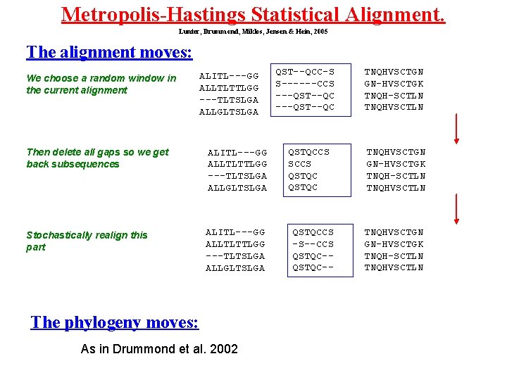Metropolis-Hastings Statistical Alignment. Lunter, Drummond, Miklos, Jensen & Hein, 2005 The alignment moves: We
