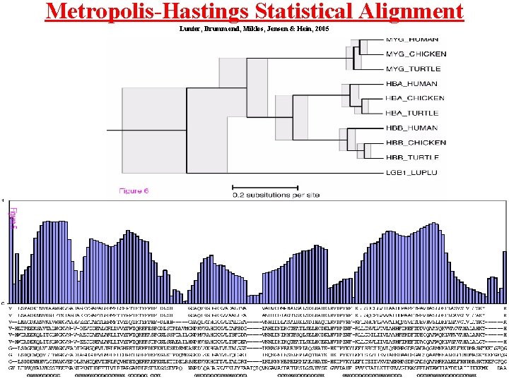 Metropolis-Hastings Statistical Alignment Lunter, Drummond, Miklos, Jensen & Hein, 2005 