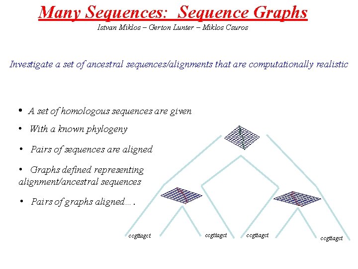 Many Sequences: Sequence Graphs Istvan Miklos – Gerton Lunter – Miklos Csuros Investigate a
