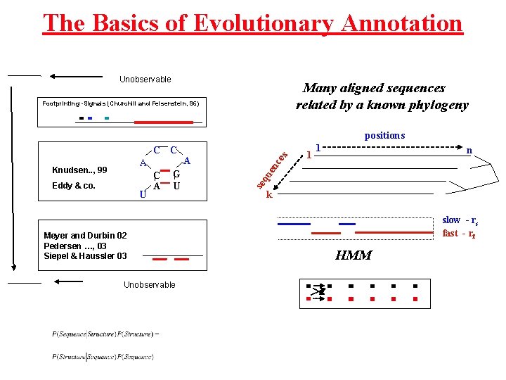 The Basics of Evolutionary Annotation Unobservable Many aligned sequences related by a known phylogeny