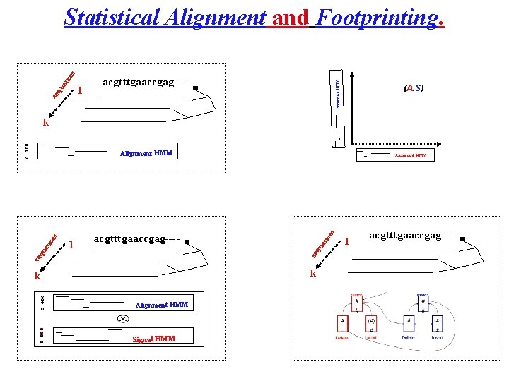 1 acgtttgaaccgag---- Structure HMM se qu en c es Statistical Alignment and Footprinting. (A,