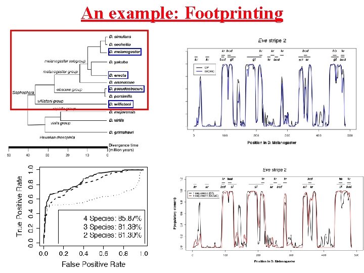 An example: Footprinting 