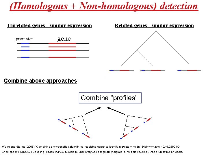 (Homologous + Non-homologous) detection Unrelated genes - similar expression promotor Related genes - similar