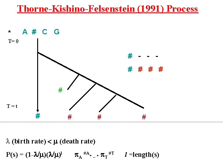 Thorne-Kishino-Felsenstein (1991) Process * A # C G T= 0 # - - #