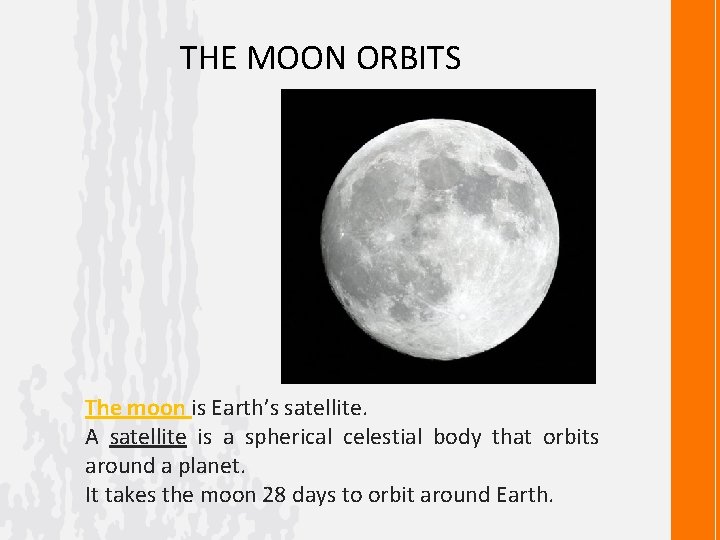 THE MOON ORBITS The moon is Earth’s satellite. A satellite is a spherical celestial