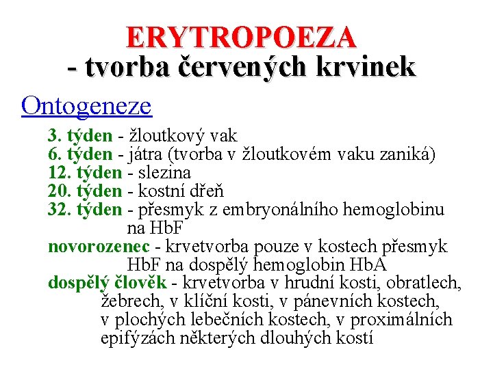 ERYTROPOEZA - tvorba červených krvinek Ontogeneze 3. týden - žloutkový vak 6. týden -