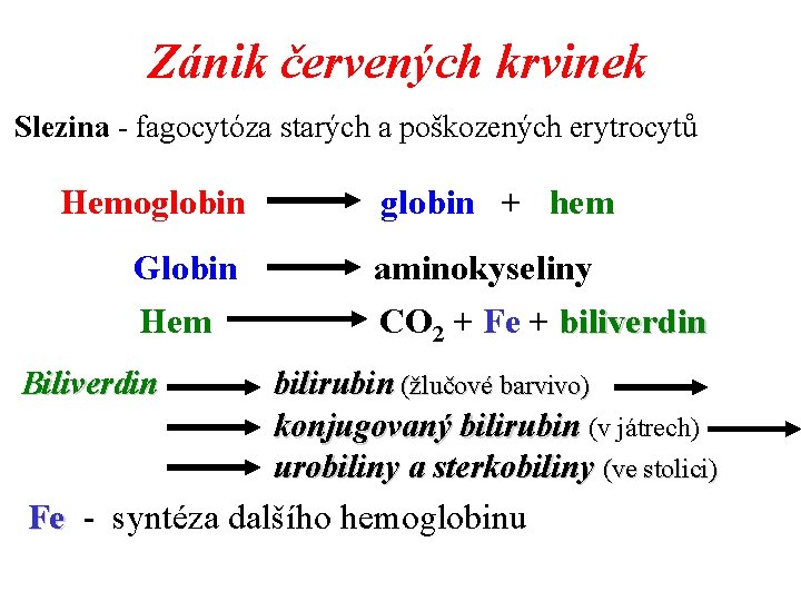 Zánik červených krvinek Slezina - fagocytóza starých a poškozených erytrocytů Hemoglobin Globin Hem Biliverdin