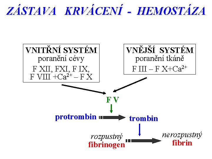 ZÁSTAVA KRVÁCENÍ - HEMOSTÁZA VNITŘNÍ SYSTÉM poranění cévy F XII, FXI, F IX, F