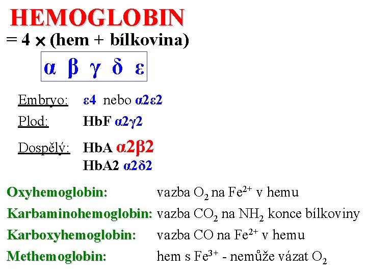 HEMOGLOBIN = 4 (hem + bílkovina) α β γ δ ε Embryo: ε 4