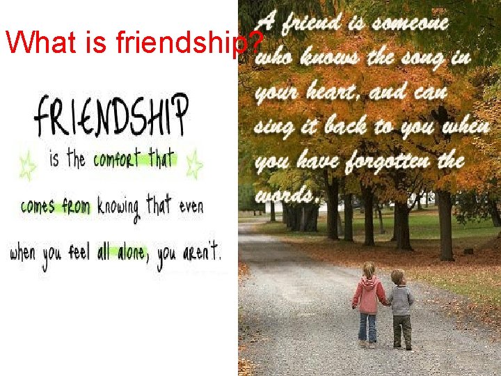 What is friendship? 